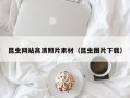 枣庄昆虫网站高清照片素材（昆虫图片下载）